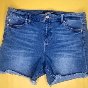 Liverpool Los Angeles Denim Shorts Women’s Size 12/31 (the Short) Raw Hem Pocket
